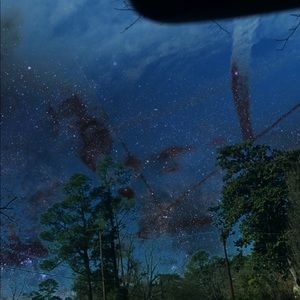 Meet your Posher, Liz